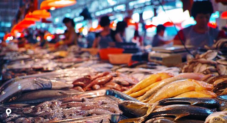 Ikan Indonesia segera Go International, KKP gaandeng lembaga Internasional dalam memasarkannya ke dunia (Foto : Istmewa) Ikan Indonesia segera Go International, KKP gaandeng lembaga Internasional dalam memasarkannya ke dunia (Foto : Istmewa)