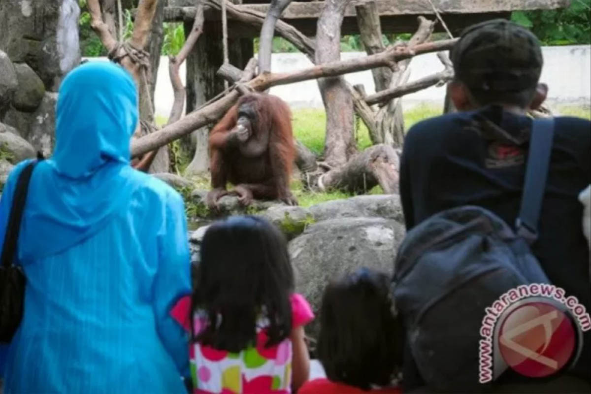 Pengunjung GL Zoo meningkat pada libur hari besar kegamaan. (Foto: Antara) Pengunjung GL Zoo meningkat pada libur hari besar kegamaan. (Foto: Antara)