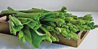 Sayur genjer. Foto: Palawija Nusantara Sayur genjer. Foto: Palawija Nusantara