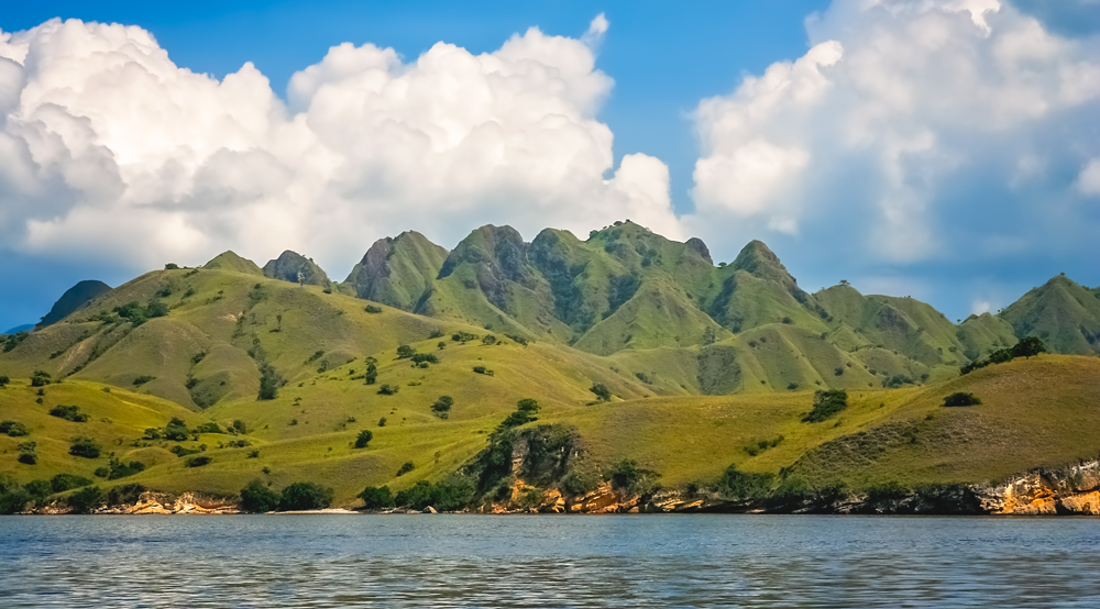 TTerkait penutupan TN Komodo, Dispar Manggarai Barat masih menunggi kajian dari tim KLKH. (Foto: Pawopa336/Elements Envato) TTerkait penutupan TN Komodo, Dispar Manggarai Barat masih menunggi kajian dari tim KLKH. (Foto: Pawopa336/Elements Envato)