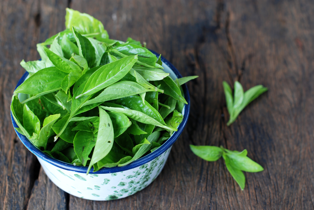 Daun kemangi. Foto: Shutterstock Daun kemangi. Foto: Shutterstock
