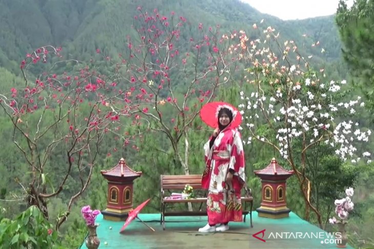 Ilustrasi - Pengunjung menikmati wahana foto sakura di Taman Wisata Genilangit di Desa Genilangit, Kecamatan Poncol, Kabupaten Magetan, Jatim. (ANTARA/Louis Rika) Ilustrasi - Pengunjung menikmati wahana foto sakura di Taman Wisata Genilangit di Desa Genilangit, Kecamatan Poncol, Kabupaten Magetan, Jatim. (ANTARA/Louis Rika)