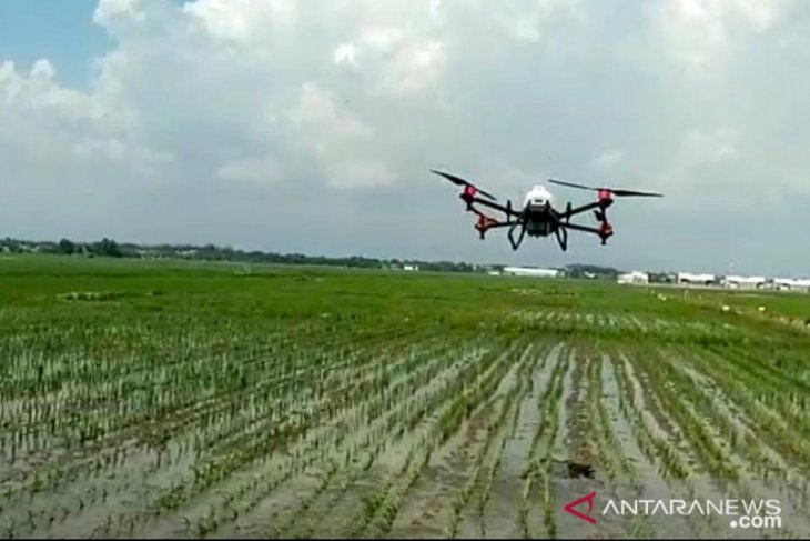 Foto dok. Penggunaan drone untuk menyemprot hama dan penyakit di lahan pertanian Kelompok Tani Sidodadi IV Desa Sidopekso, Kecamatan Kraksaan, Kabupaten Probolinggo, Kamis (10/6/2021). (ANTARA/ HO - Diskominfo Kabupaten Probolinggo) Foto dok. Penggunaan drone untuk menyemprot hama dan penyakit di lahan pertanian Kelompok Tani Sidodadi IV Desa Sidopekso, Kecamatan Kraksaan, Kabupaten Probolinggo, Kamis (10/6/2021). (ANTARA/ HO - Diskominfo Kabupaten Probolinggo)