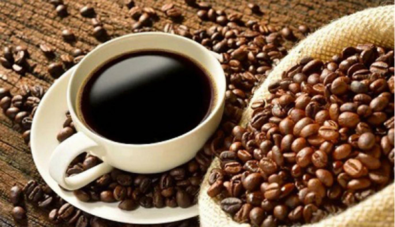 Diplomasi Kopi Toraja Memikat Peserta Farmtrip Asal Tawau Diplomasi Kopi Toraja Memikat Peserta Farmtrip Asal Tawau