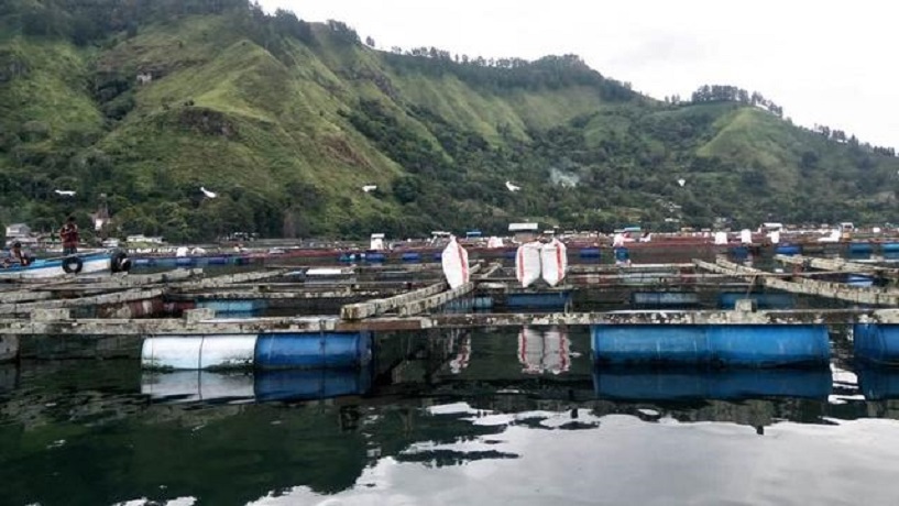 Budi daya ikan keramba jaring apung diduga telah mencemari kawasan wisata Danau Toba. (ist) Budi daya ikan keramba jaring apung diduga telah mencemari kawasan wisata Danau Toba. (ist)