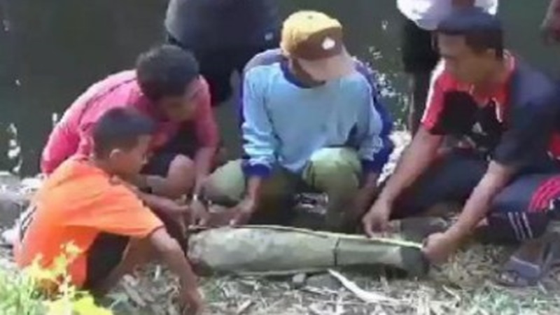 Warga Ngawi Temukan Tulang Besar Diduga Fosil Gajah Stegodon Warga Ngawi Temukan Tulang Besar Diduga Fosil Gajah Stegodon