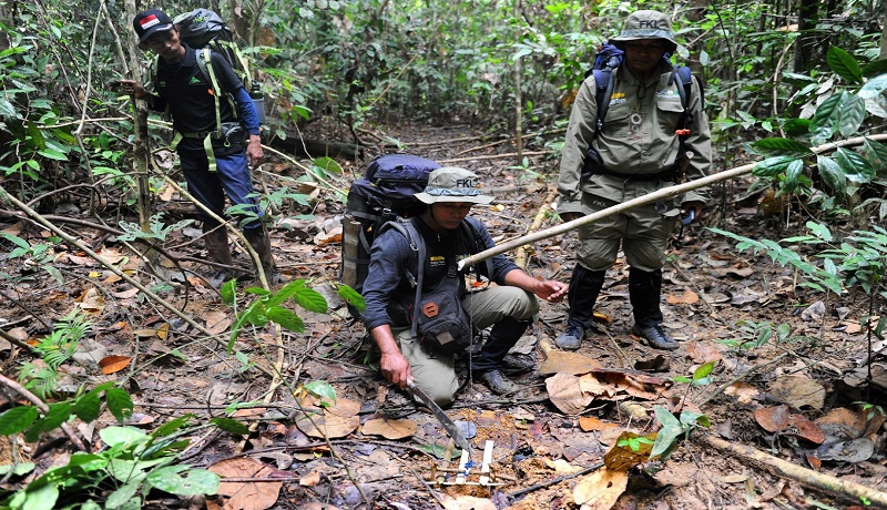 Petugas sedang membersihkan sisa-sisa jerat hewan di hutan. (ist) Petugas sedang membersihkan sisa-sisa jerat hewan di hutan. (ist)