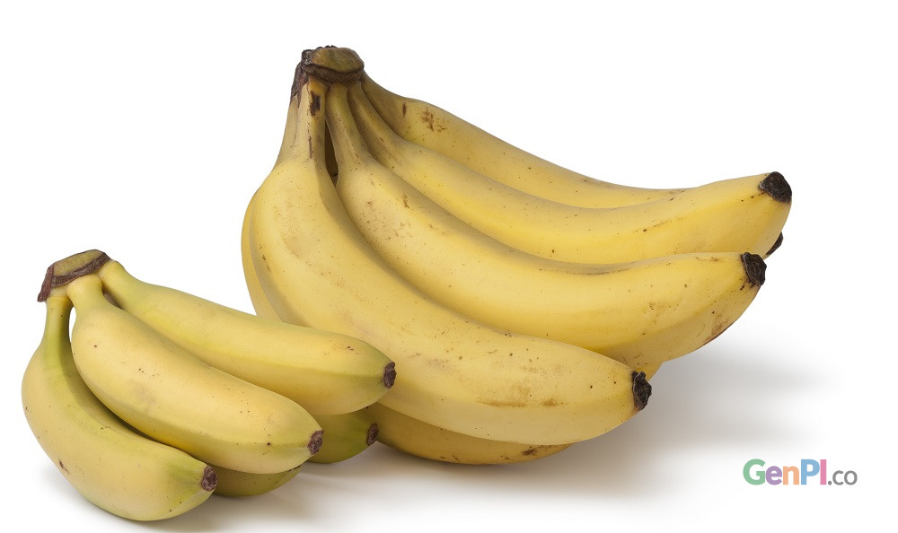 kandungan zat pada kulit pisang bisa dimanfaatkan untuk memutihkan gigi. kandungan zat pada kulit pisang bisa dimanfaatkan untuk memutihkan gigi.
